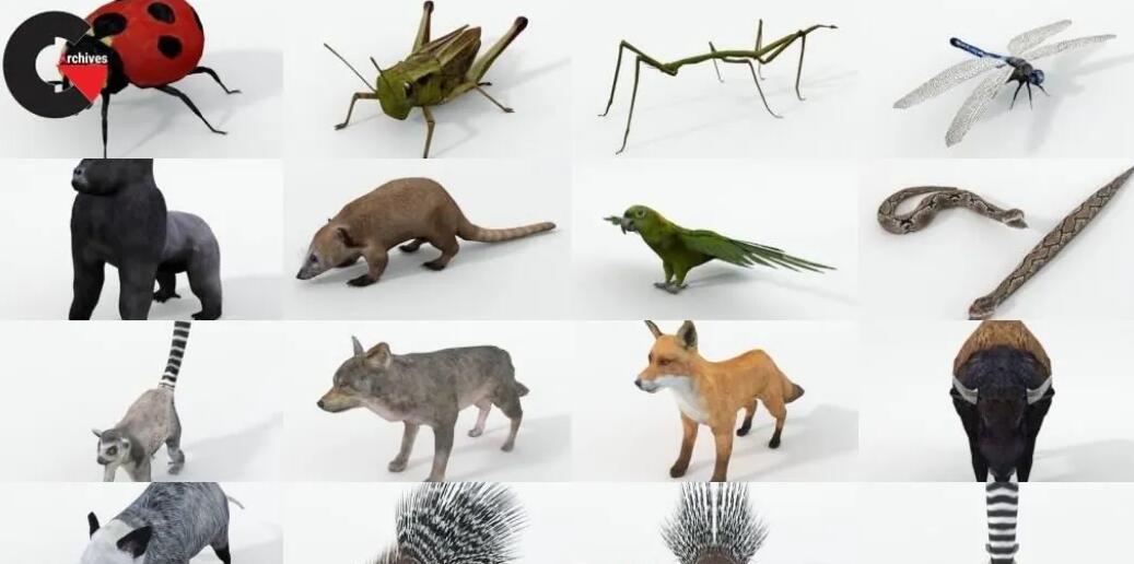逼真的森林野生动物3D模型