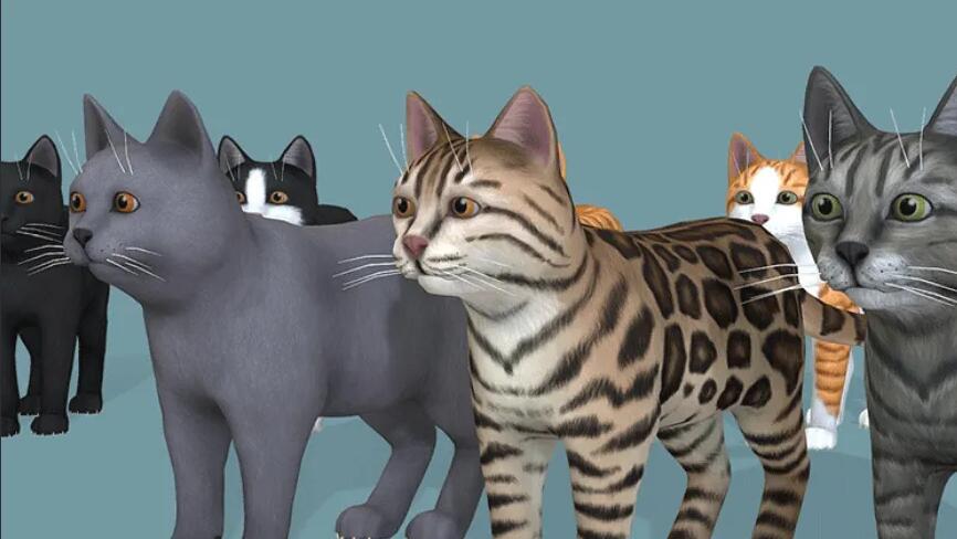 卡通cats猫儿Blend模型C4D黑白豹猫咪小猫 猫咪宠物猫Lowpoly卡通3D模型