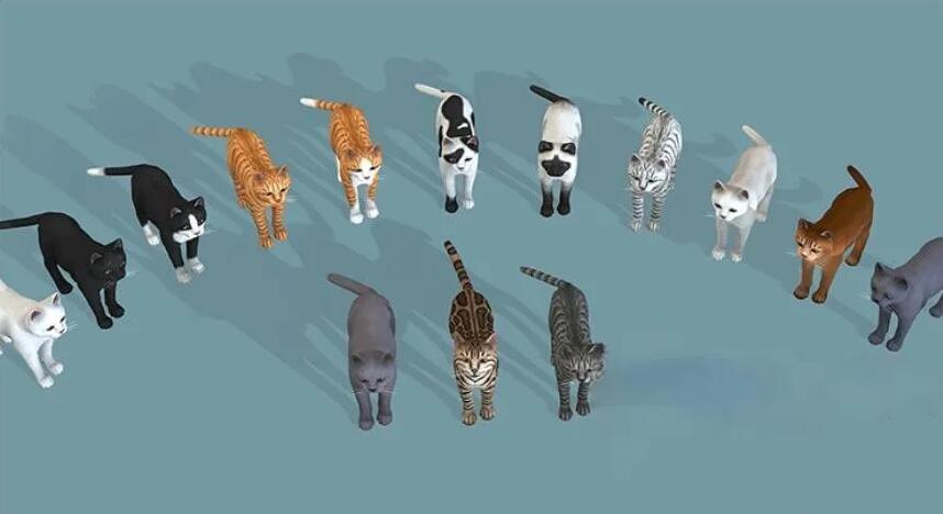 卡通cats猫儿Blend模型C4D黑白豹猫咪小猫 猫咪宠物猫Lowpoly卡通3D模型