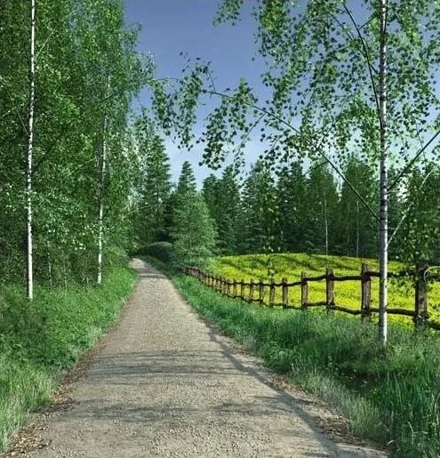 农村道路模型下载
