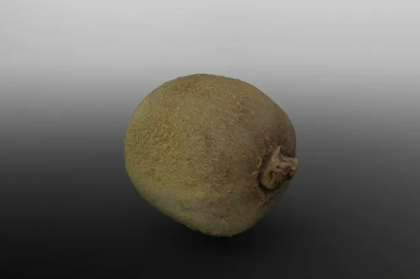 写实次时代材质猕猴桃，奇异果3D模型
