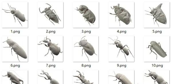 昆虫，虫子3d模型，包含15个虫子模型。