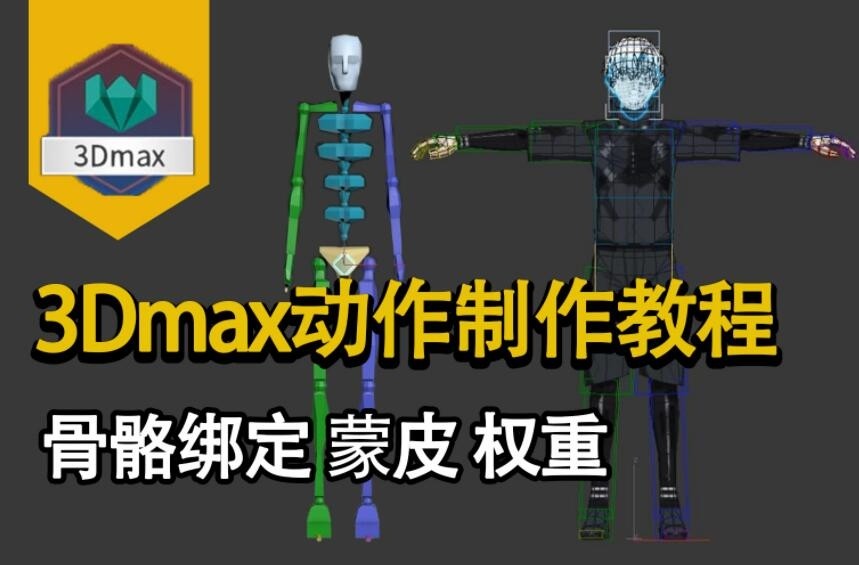 非常不错的人物角色基础cs骨骼绑定蒙皮教程