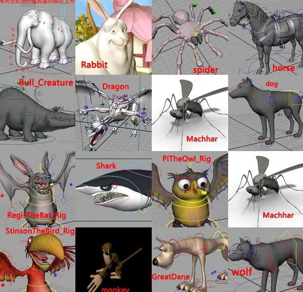 动画师必备60个绑定模型 人物动物都有