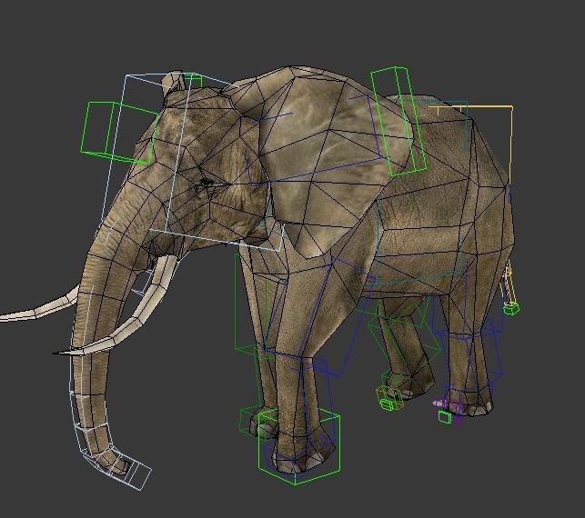 大象模型 带骨骼和动画