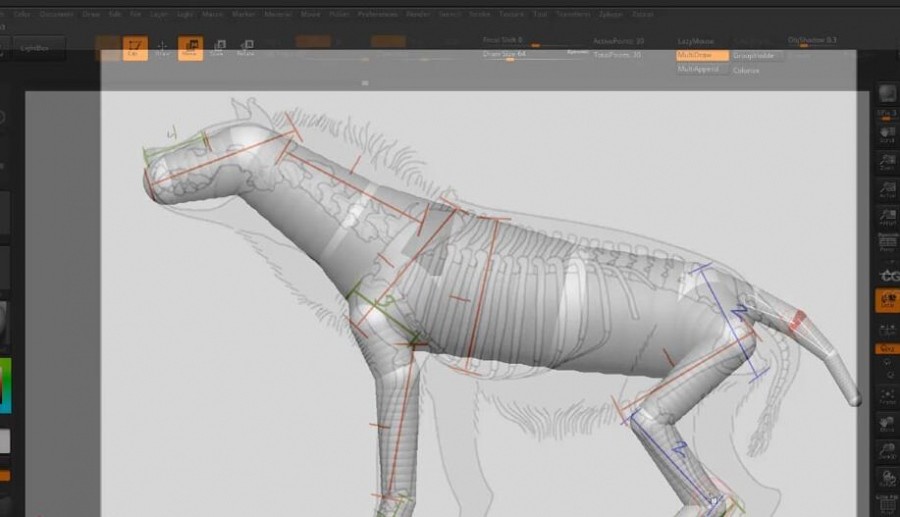 Zbrush训练大师班 动物解剖雕刻完整视频教程