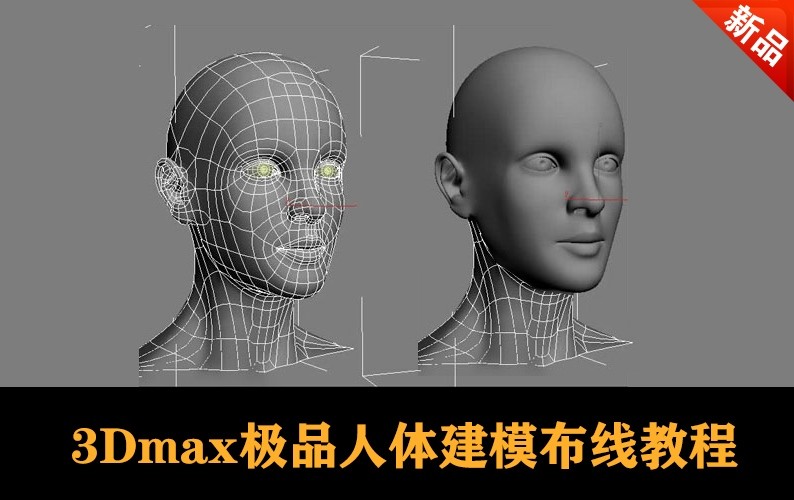 3Dmax极品人体建模布线教程