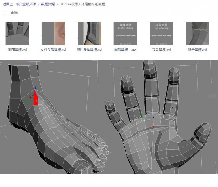 3Dmax极品人体建模布线教程