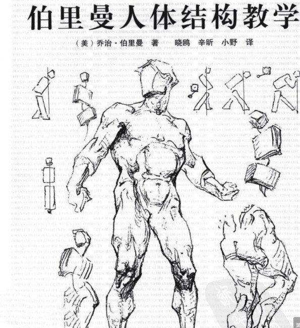 人体学习资料包括+PDF电子书+人物速写参考+解剖 资源集合