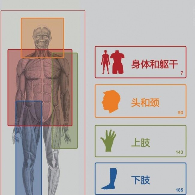 人体学习资料包括+PDF电子书+人物速写参考+解剖 资源集合