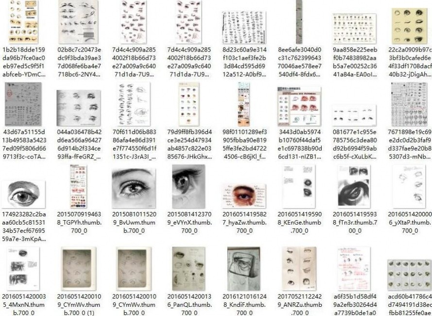 人体学习资料包括+PDF电子书+人物速写参考+解剖 资源集合