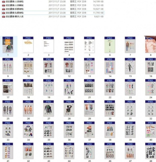 人体学习资料包括+PDF电子书+人物速写参考+解剖 资源集合