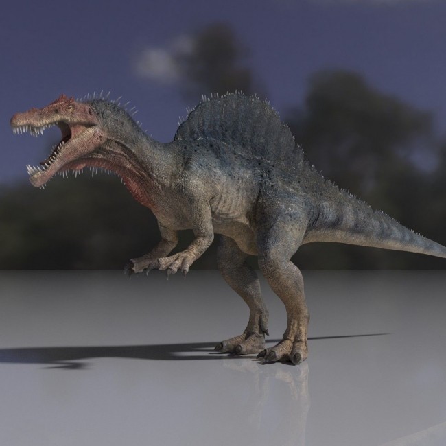 一些写实动物带绑定3D模型参考 大象 多种恐龙 狼 狗等模型