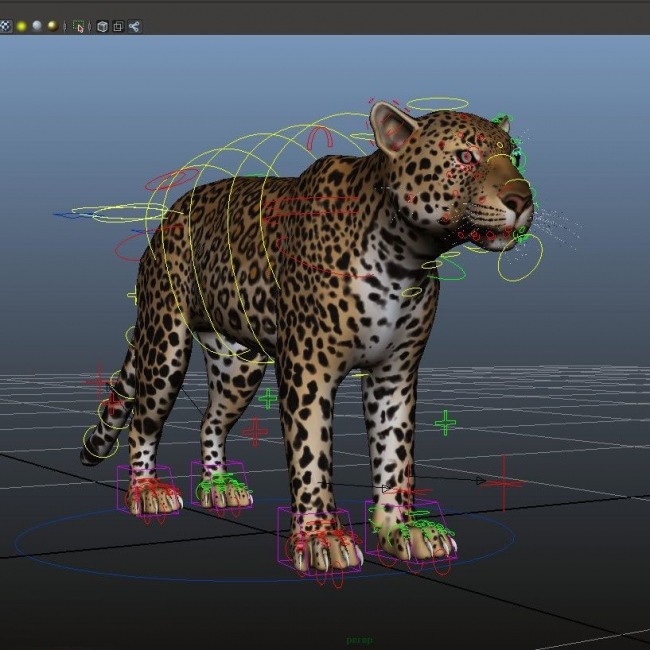 一些写实动物带绑定3D模型参考 大象 多种恐龙 狼 狗等模型