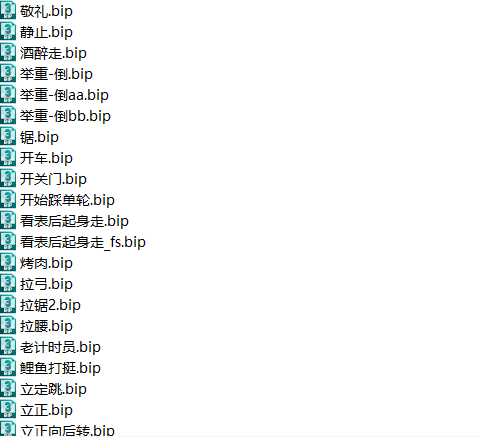 bip动作库大全第二部分