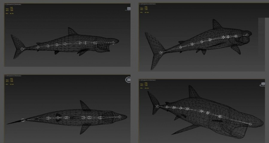 鲨鱼 鲸鱼 海豚各种大型鱼类3D模型