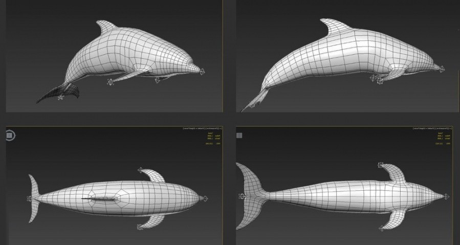 鲨鱼 鲸鱼 海豚各种大型鱼类3D模型