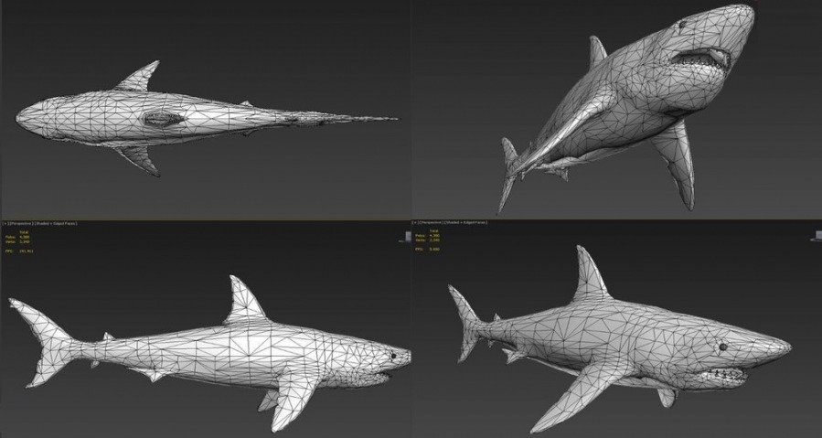 鲨鱼 鲸鱼 海豚各种大型鱼类3D模型