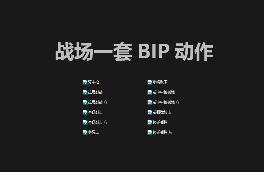 战场一套BIP动作