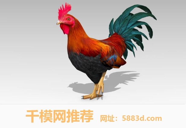 UE5虚幻5 Rooster 大公鸡雄鸡模型带动画