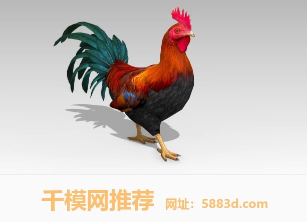 UE5虚幻5 Rooster 大公鸡雄鸡模型带动画