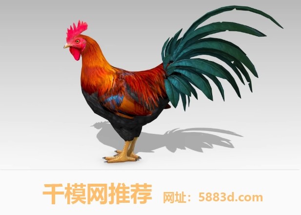 UE5虚幻5 Rooster 大公鸡雄鸡模型带动画