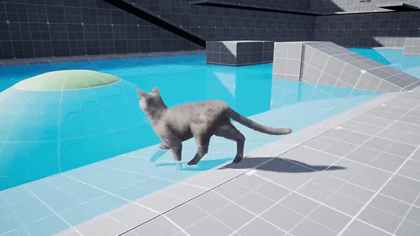UE4虚幻5 AnimX꞉ Advanced Cats 高品质猫咪角色模型带动画