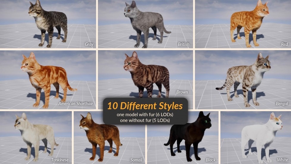 UE4虚幻5 AnimX꞉ Advanced Cats 高品质猫咪角色模型带动画