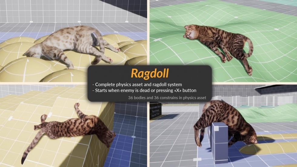 UE4虚幻5 AnimX꞉ Advanced Cats 高品质猫咪角色模型带动画