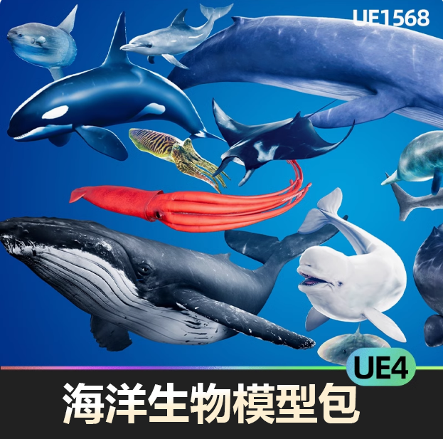 海洋动物生物3d模型