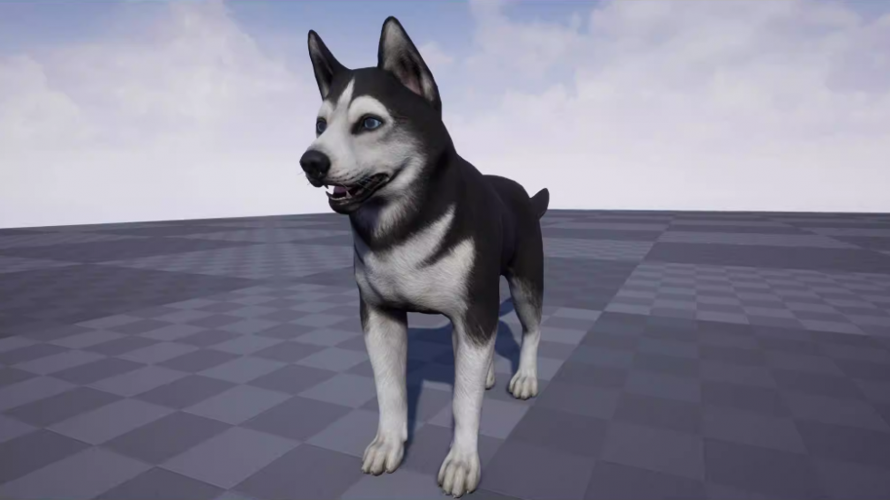 UE4虚幻5 Dog - Husky 哈士奇狗狗模型动画