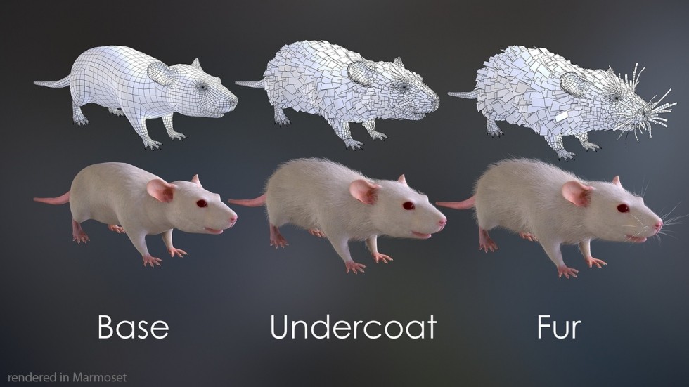 UE5虚幻5 Mouse 写实老鼠耗子游戏角色带动画