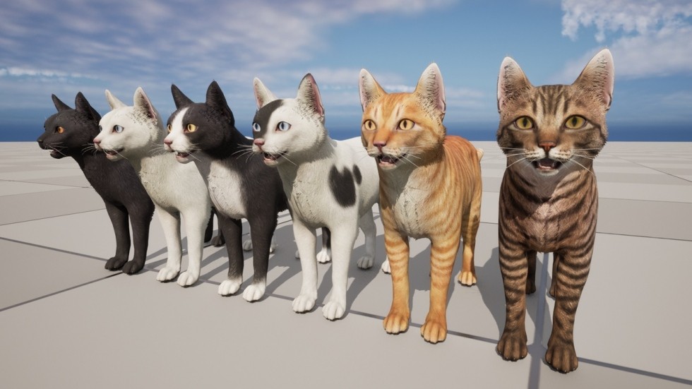 UE4虚幻5 Cats Pack 小猫猫咪角色模型带动画