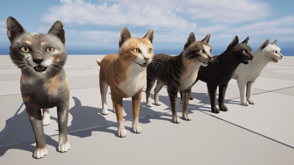 UE4虚幻5 Cats Pack 小猫猫咪角色模型带动画