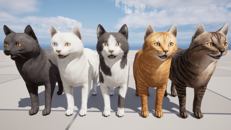 UE4虚幻5 Cats Pack 小猫猫咪角色模型带动画