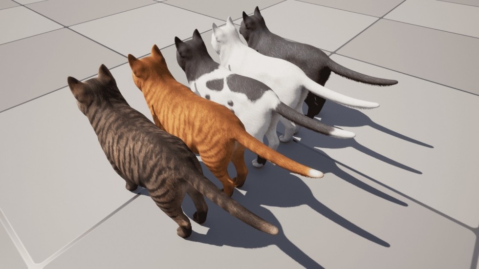 UE4虚幻5 Cats Pack 小猫猫咪角色模型带动画