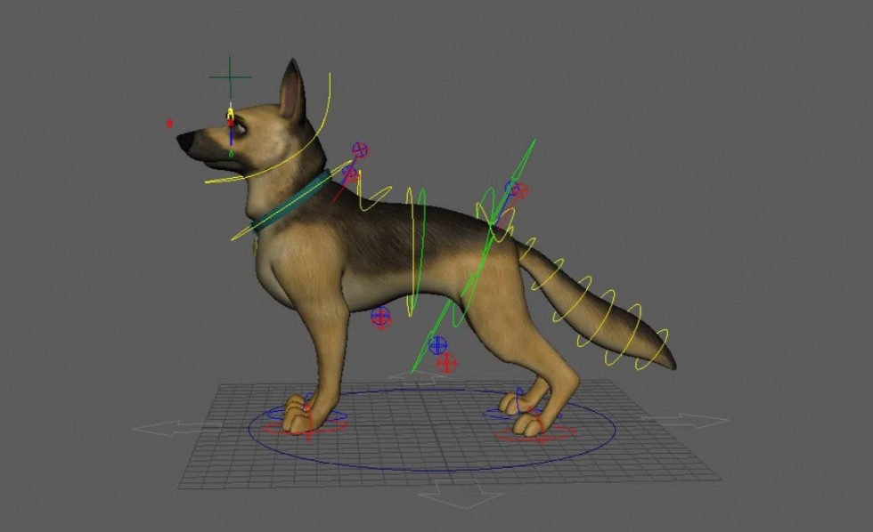 免费分享：写实dog，含贴图绑定，可做四足动画练习