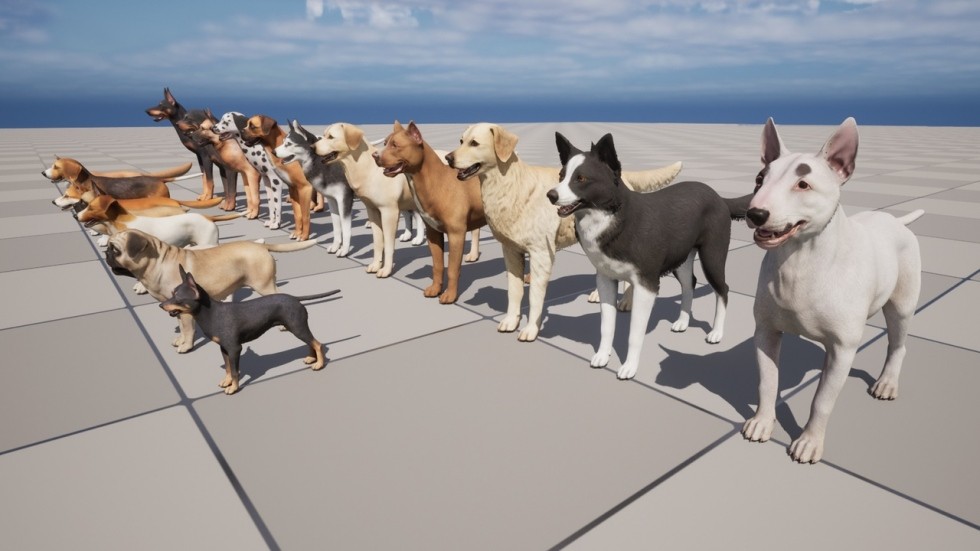 UE4虚幻5 Dogs Big pack 各个品种柯基牧羊犬八哥狗狗动物角色模型