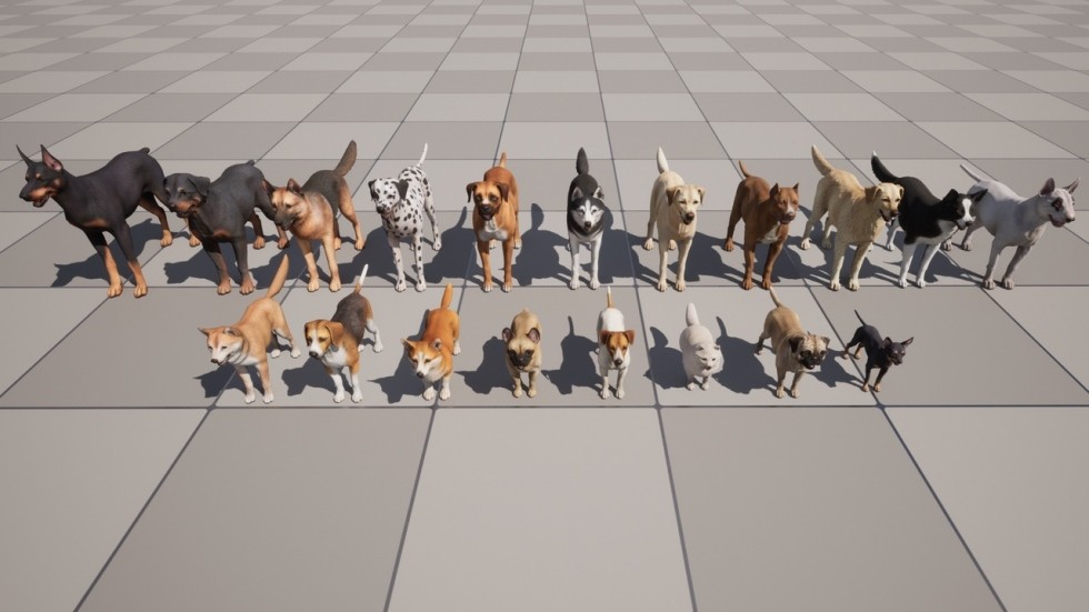 UE4虚幻5 Dogs Big pack 各个品种柯基牧羊犬八哥狗狗动物角色模型