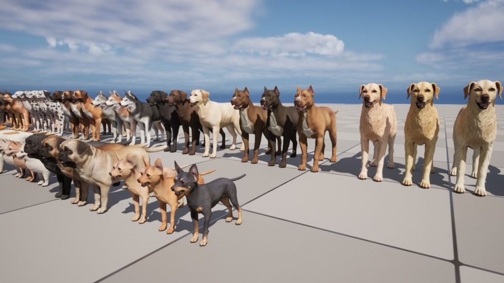 UE4虚幻5 Dogs Big pack 各个品种柯基牧羊犬八哥狗狗动物角色模型