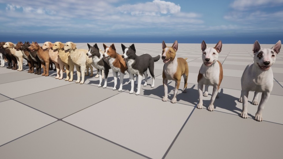 UE4虚幻5 Dogs Big pack 各个品种柯基牧羊犬八哥狗狗动物角色模型