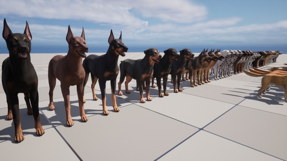 UE4虚幻5 Dogs Big pack 各个品种柯基牧羊犬八哥狗狗动物角色模型