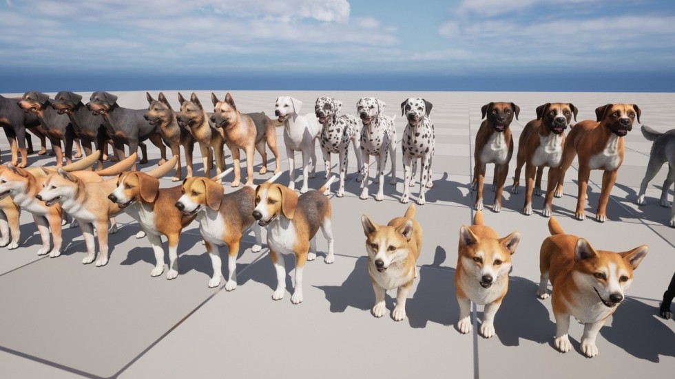 UE4虚幻5 Dogs Big pack 各个品种柯基牧羊犬八哥狗狗动物角色模型