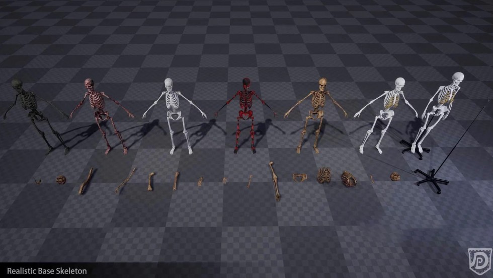 UE4虚幻5 Realistic Base Skeleton 写实人类基础骨架骷髅模型