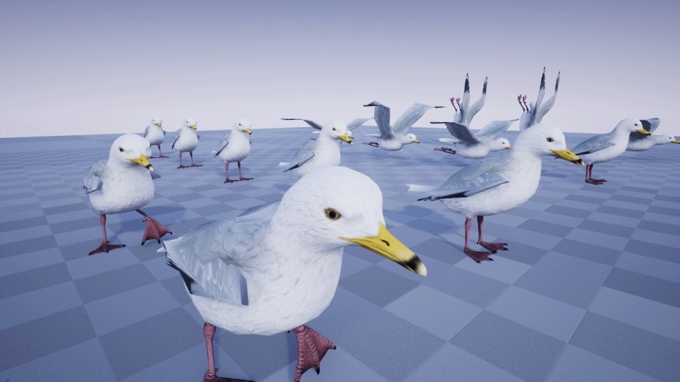 UE4虚幻5 SEAGULL 海鸥鸟类模型带动画