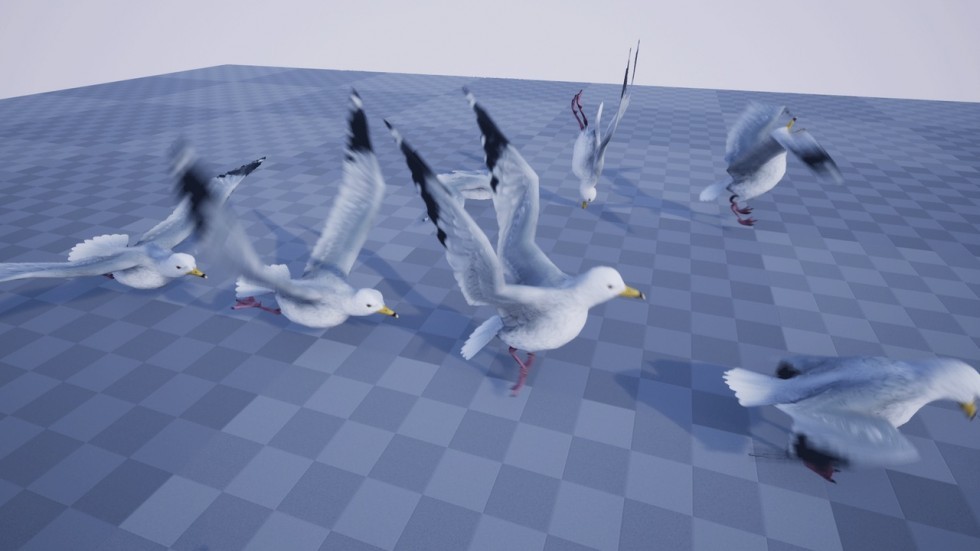 UE4虚幻5 SEAGULL 海鸥鸟类模型带动画