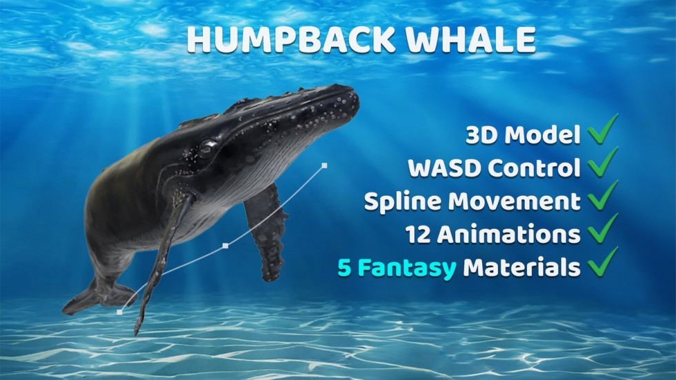 UE5虚幻5 Animated Humpback Whale 座头鲸角色模型带动画