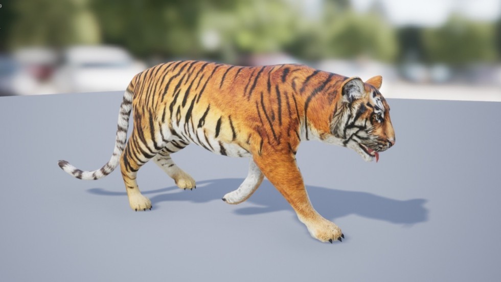 UE4虚幻5 Medhue Tiger 3D老虎猛虎模型角色带动画