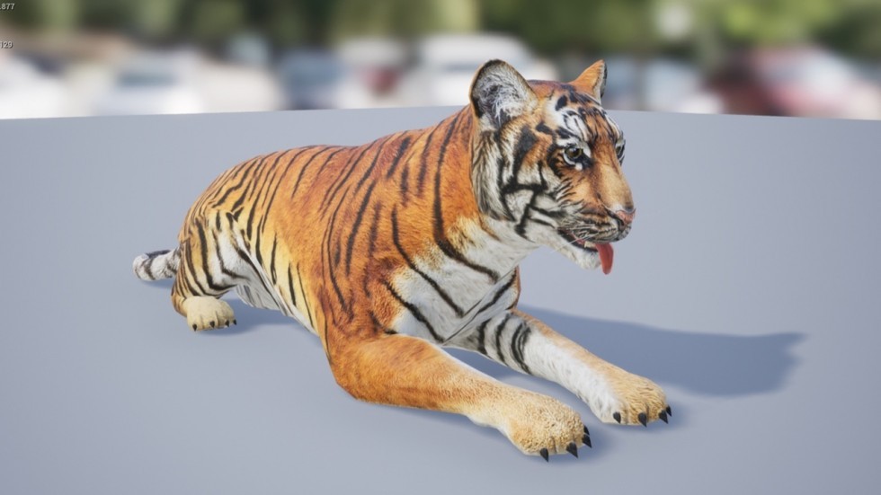 UE4虚幻5 Medhue Tiger 3D老虎猛虎模型角色带动画