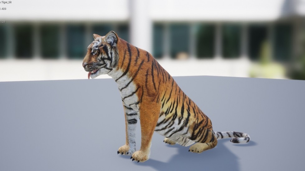 UE4虚幻5 Medhue Tiger 3D老虎猛虎模型角色带动画